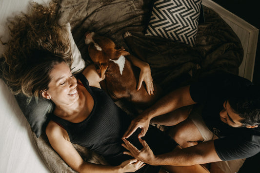 Creating Their Happy Place: 5 Simple Ways to Turn Your Home into a Caine Sanctuary
