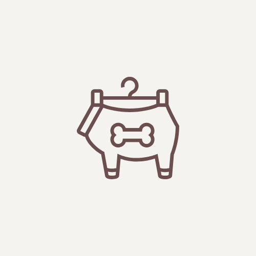 Apparel & Accessories
