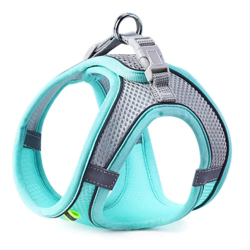 Comfort Walking Harness
