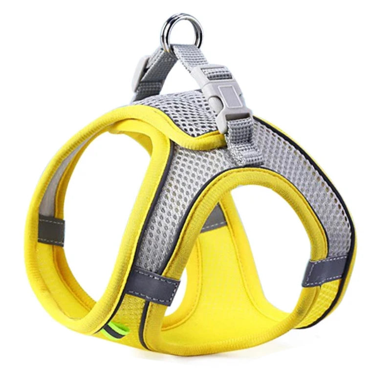 Comfort Walking Harness