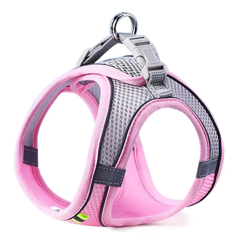 Comfort Walking Harness