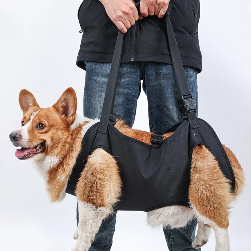 Dog Support Harness