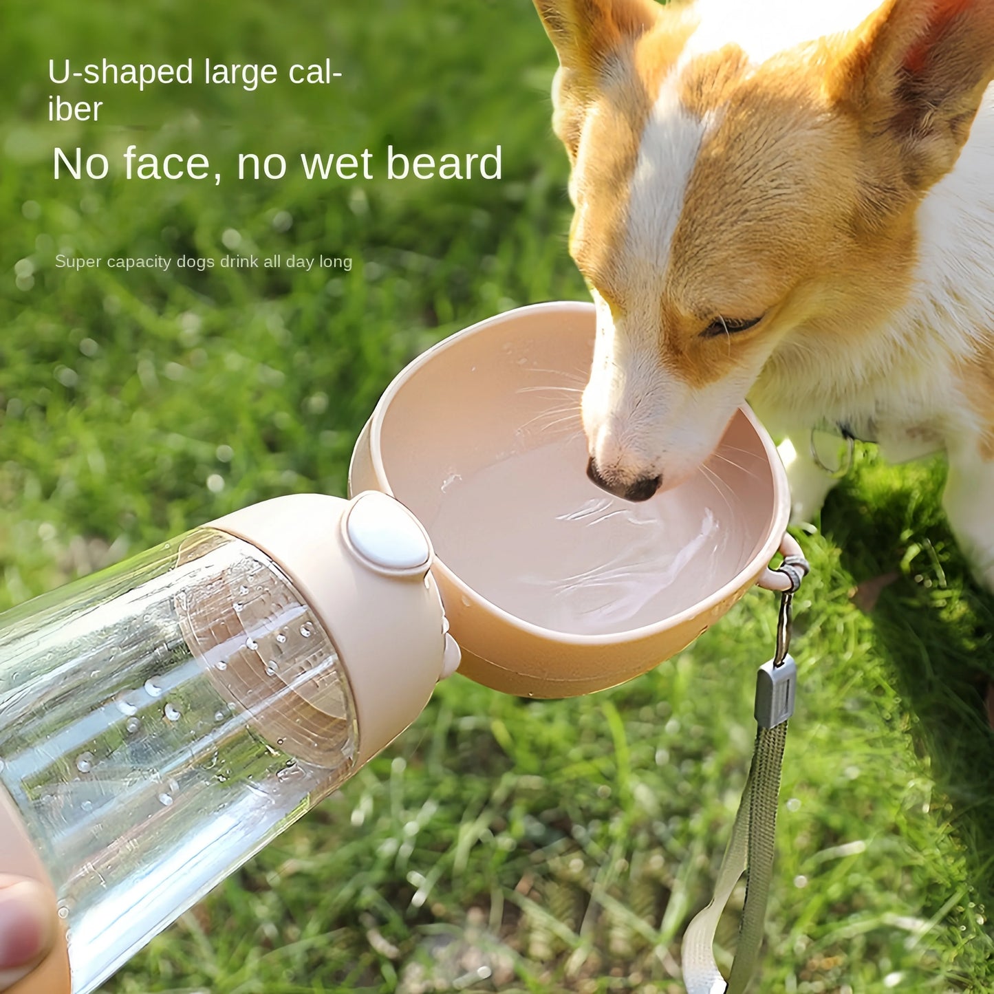 The Adventure Portable Food & Water Bottle