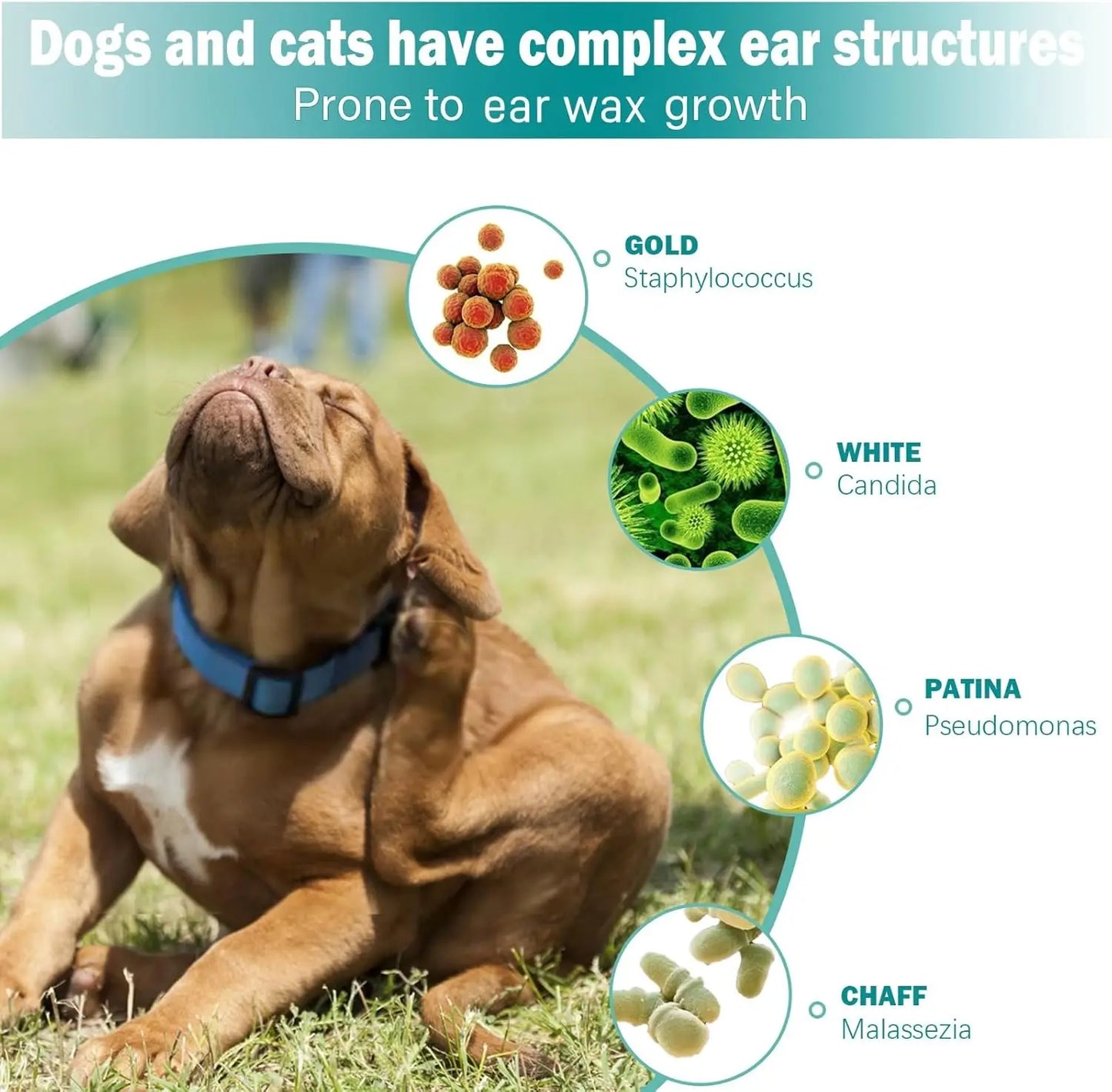 Pet Ear Finger Wipes