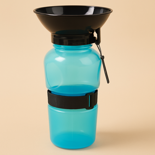 2-1 Travel Water Bottle