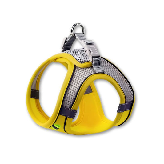 Comfort Walking Harness